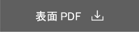 表面PDF