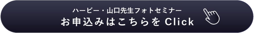 ハービー山口先生のフォトセミナー申し込みはこちらをcheck